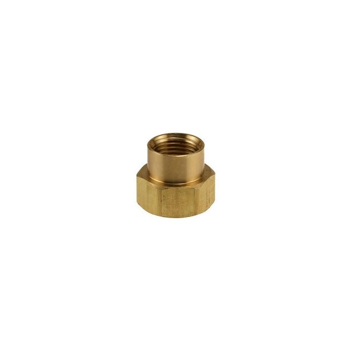 Brass Hose Coupling: FHT x FIPT