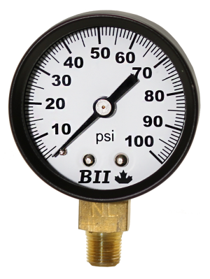 2" DRY GAUGE 1/4" LM 0-100