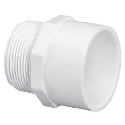 2" Male Adap:Slip x Mipt