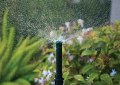 Save Water with the Pressure Regulated Shrub Adapter