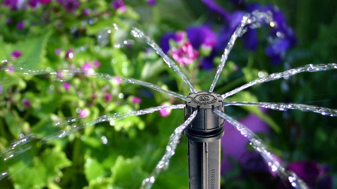 Micro-Irrigation: 360 Shrubbler