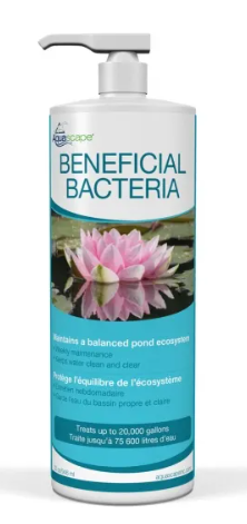 Beneficial Bacteria