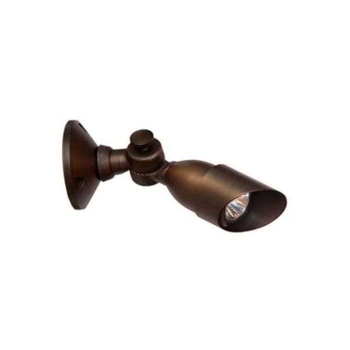 DL50 Bullet Accent Light