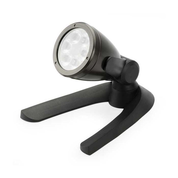 6-Watt Pond & Landscape