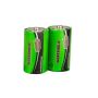 D Alkaline Battery