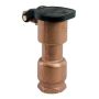 3/4" Orbit FIPT Brass Quick Coupling Valve