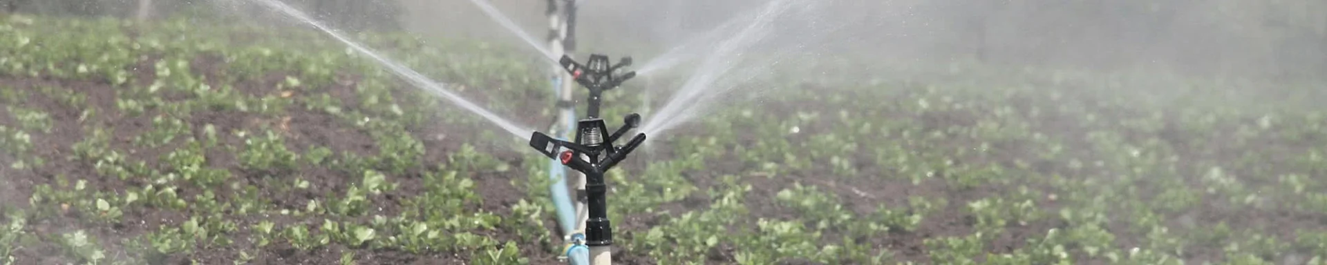 Irrigation
