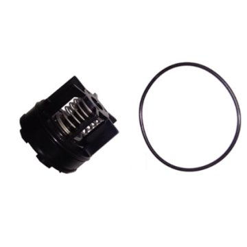DCVA 007M3 REPAIR KIT CK2 3/4"