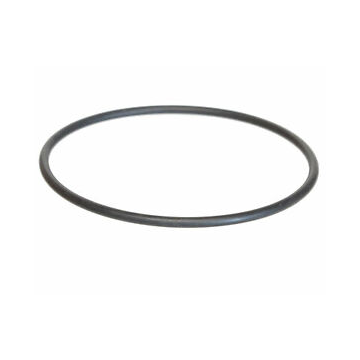 Replacement O-Ring For Netafim Filters
