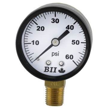 Dry Pressure Gauge