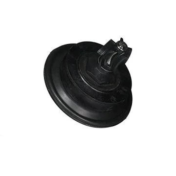 Diaphragm Assembly For 100P2