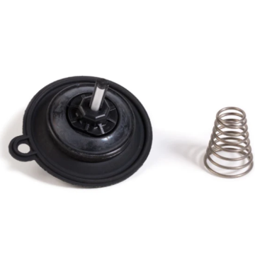 1" PEB DIAPHRAGM - DIAPH100PE
