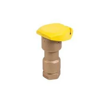 1" 1-Piece Quick Coupling