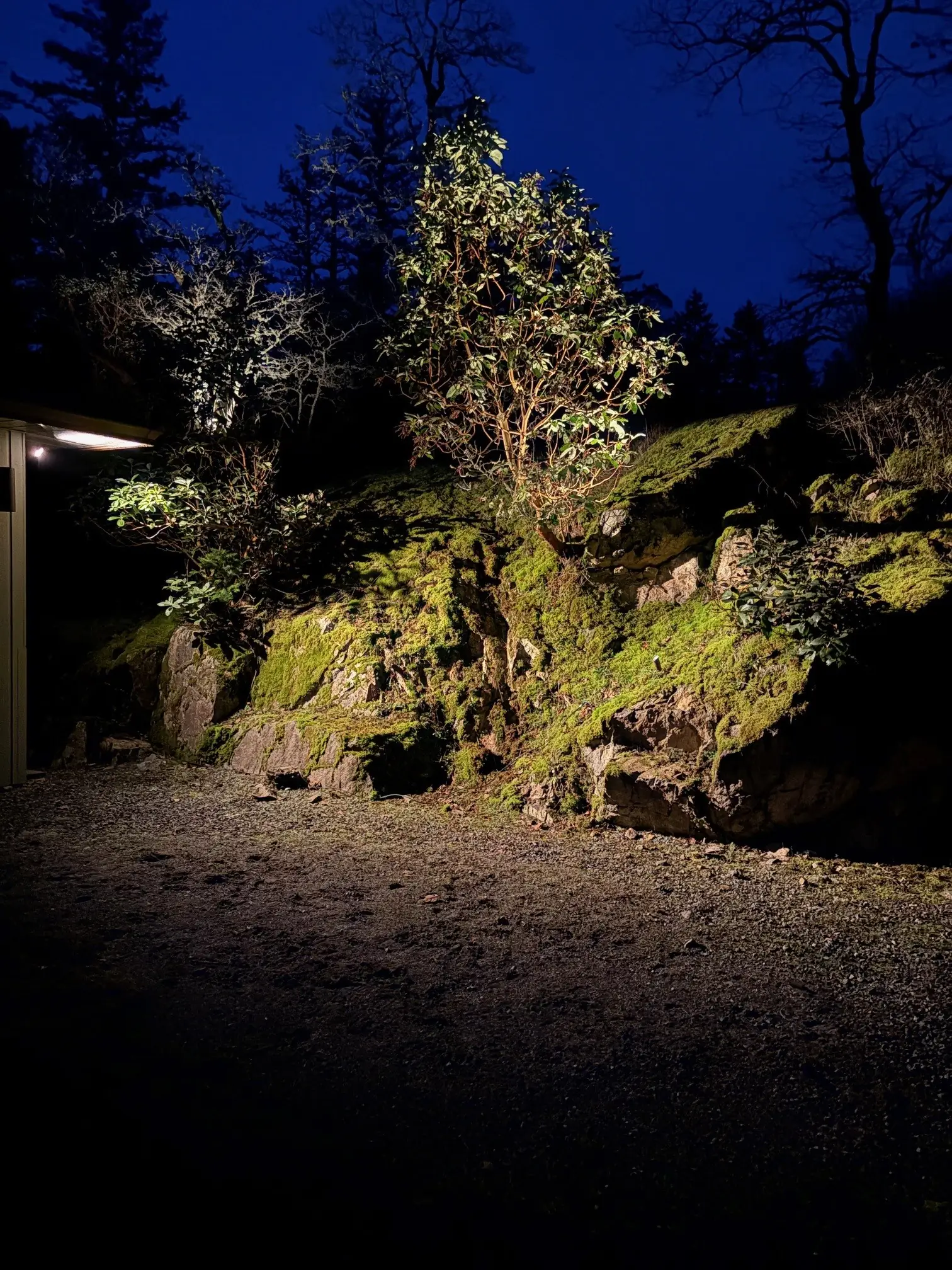 Landscape lighting showing accent lighting combined with wash lighting
